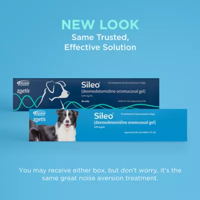 Sileo (dexmedetomidine oromucosal) Gel for Dogs, Noise Aversion Medication, 0.09 mg/mL, 3 mL - Image 6
