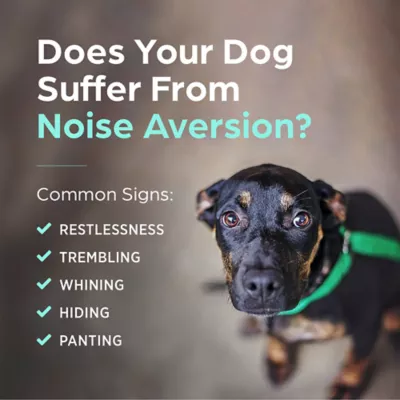 Sileo (dexmedetomidine oromucosal) Gel for Dogs, Noise Aversion Medication, 0.09 mg/mL, 3 mL - Image 8