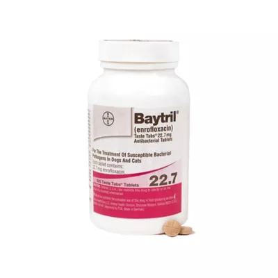 Product Baytril Taste - 22.7 mg, 68 mg, 136 mg - Single Tablet