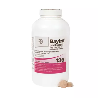 Product Baytril Taste - 22.7 mg, 68 mg, 136 mg - Single Tablet