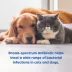 Clavamox (amoxicillin & clavulanate potassium for oral suspension) for Dog & Cat, 62.5-mg/mL, 15 mL image thumbnail 4