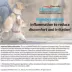 Mometamax (Gentamicin, Mometasone, Clotrimazole) Otic Suspension for Dogs, 15-g or 30-g image thumbnail 6