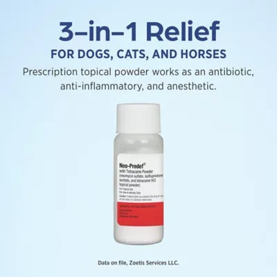 Neo-Predef (Neomycin Sulfate) with Tetracaine Topical Powder for Dogs, Cats, & Horses - 15 gm - Image 3