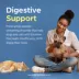 Viokase-V Powder for Dogs & Cats, 12 oz image thumbnail 4