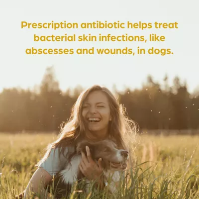 Simplicef (cefpodoxime proxetil) for Dogs, 100 mg or 200 mg, Single Tablet - Image 4