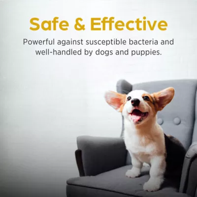 Simplicef (cefpodoxime proxetil) for Dogs, 100 mg or 200 mg, Single Tablet - Image 5