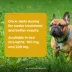 Simplicef (cefpodoxime proxetil) for Dogs, 100 mg or 200 mg, Single Tablet image thumbnail 7