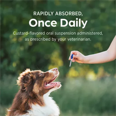 Albon (Sulfadimethoxine) Oral Suspension 5% for Dogs & Cats - 2 oz (60 mL) Bottle - Image 6
