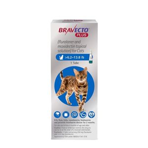 Flea and Tick