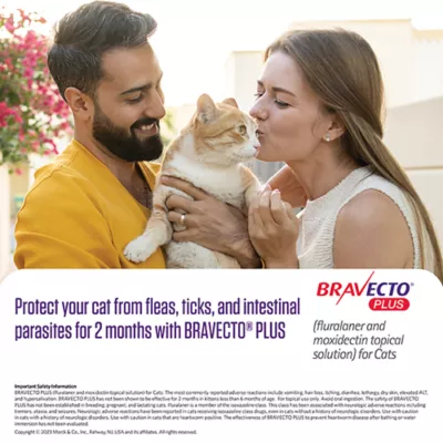 Product Bravecto Plus Topical Solution for Cats