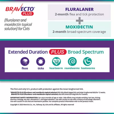 Product Bravecto Plus Topical Solution for Cats