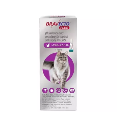 Bravecto Plus Topical Solution for Cats, 13.8-27.5 lb (Purple), 1 Dose,  2-Month Supply - Image 1