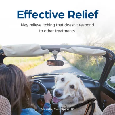 Temaril-P (trimeprazine with prednisolone) Tablets for Dogs - Available in 1 or 100 Count - Image 4