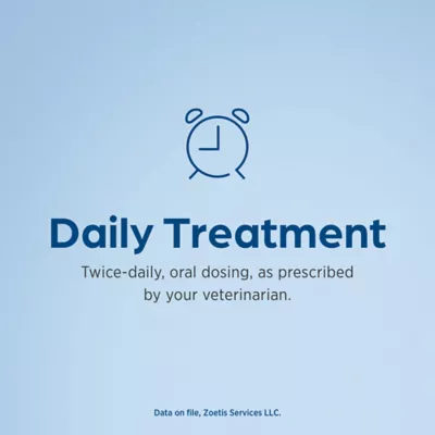 Temaril-P (trimeprazine with prednisolone) Tablets for Dogs - Available in 1 or 100 Count - Image 5