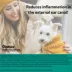 Otomax (Gentamicin, Betamethasone, Clotrimazole) Ointment for Dogs - 7.5g, 15g, or 30g image thumbnail 3
