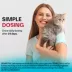 Semintra (telmisartan) Oral Solution for Cats 10 mg/ml, 35 mL image thumbnail 6