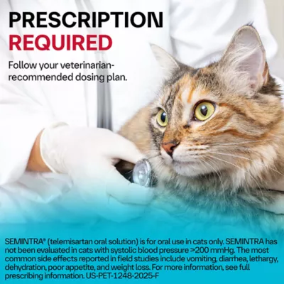 Semintra (telmisartan) Oral Solution for Cats 10 mg/ml, 35 mL - Image 7