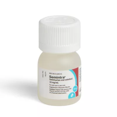 Semintra (telmisartan) Oral Solution for Cats 10 mg/ml, 35 mL - Image 8