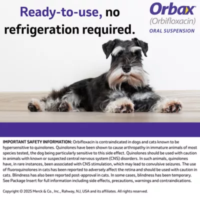 Orbax Oral Suspension 30 mg/ml, 20 ml - Image 4