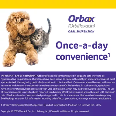 Orbax Oral Suspension 30 mg/ml, 20 ml - Image 5