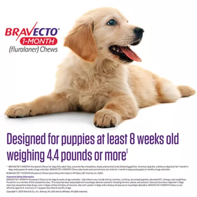 Product Bravecto Chewable Tablet - 1 Chewable 1 Month Acting