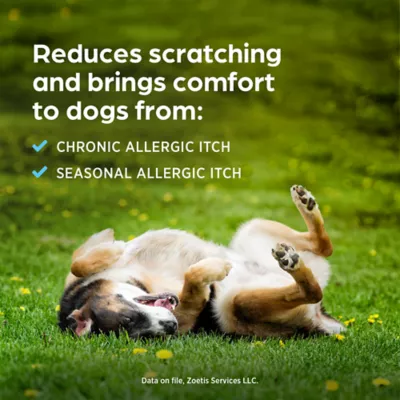 Synotic (fluocinolone acetonide 0.01% & dimethyl sulfoxide 60%) Otic Solution for Dogs, 8 mL Bottle - Image 4