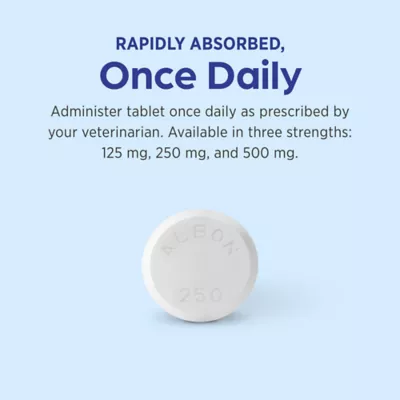 Albon (sulfadimethoxine) Tablet for Dog & Cat - 125 mg, 250 mg, & 500 mg - Single Tablet - Image 6