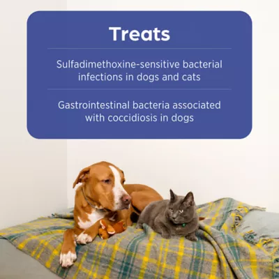 Albon (sulfadimethoxine) Tablet for Dog & Cat - 125 mg, 250 mg, & 500 mg - Single Tablet - Image 4