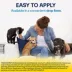 Tresaderm (thiabendazole, dexamethasone, neomycin sulfate) Dog & Cat Topical Solution 7.5 mL, 15 mL image thumbnail 6