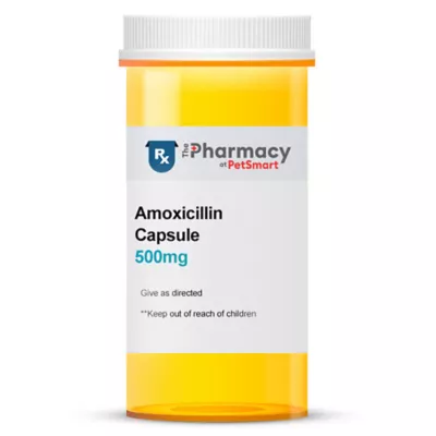 Product Amoxicillin - 250 mg, 500 mg - Single Capsule