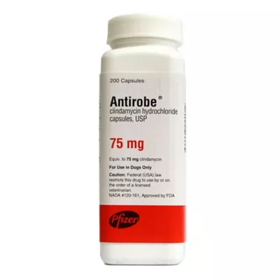 Product Antirobe (Clindamycin Hydrochloride) - 25 mg, 75 mg, 150 mg - Single Capsule