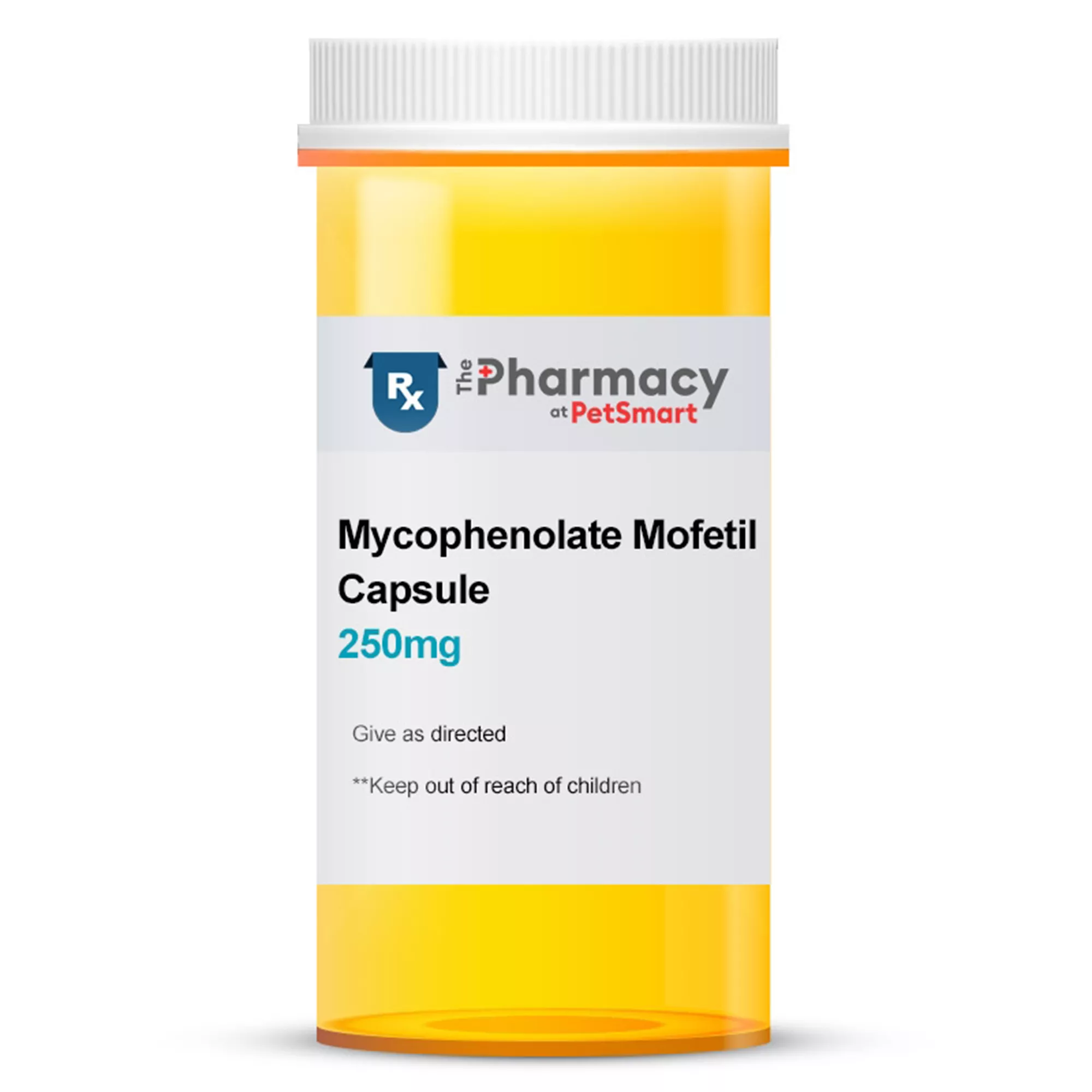 Mycophenolate Mofetil 250 mg - Single Capsule