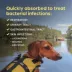 Amoxi-Drop (amoxicillin for oral suspension) for Dogs & Cats, 50 mg, 30 mL image thumbnail 4
