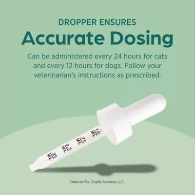 Amoxi-Drop (amoxicillin for oral suspension) for Dogs & Cats, 50 mg, 30 mL - Image 5