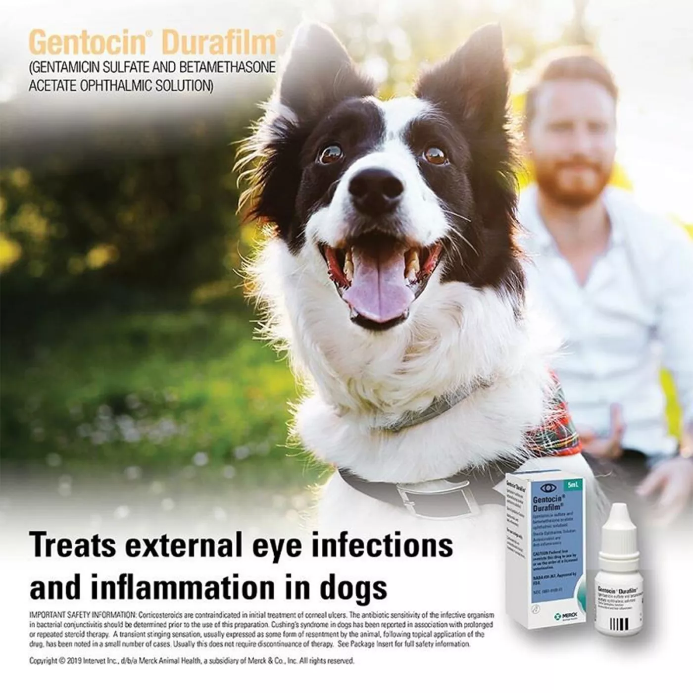 Gentocin Durafilm Ophthalmic Solution 5 ml