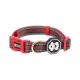 Product Fresh Pawz G-Stripe Dog Collar