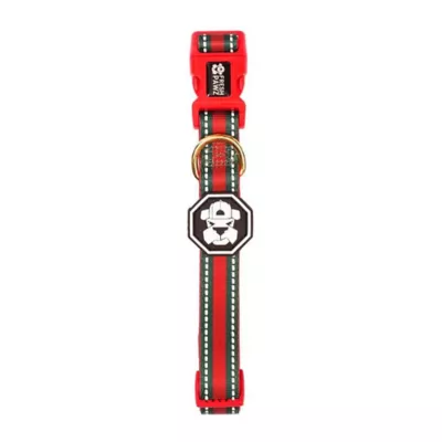 Product Fresh Pawz G-Stripe Dog Collar