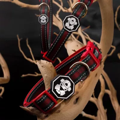 Product Fresh Pawz G-Stripe Dog Collar