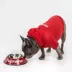 Fresh Pawz Pupreme Dog Hoodie image thumbnail 3