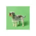 Fresh Pawz Quotation Dog Rain Jacket image thumbnail 3