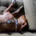 Fresh Pawz Flame Thrower Dog Collar image thumbnail 3