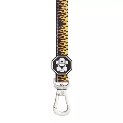 Fresh Pawz Flame Thrower Dog Leash 5-ft long - Image 1