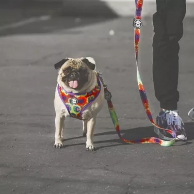 Fresh Pawz Tie Dye Dog Leash 5-ft long - Image 4