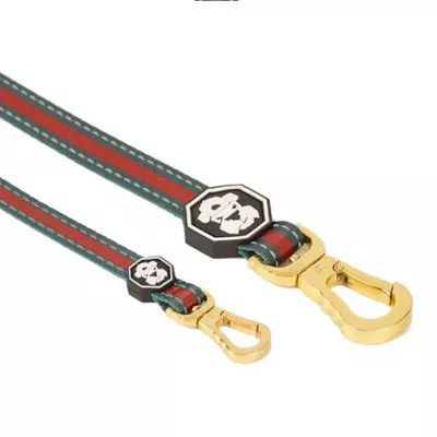 Product Fresh Pawz G-Stripe Dog Leash 5-ft long