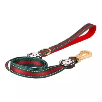 Product Fresh Pawz G-Stripe Dog Leash 5-ft long