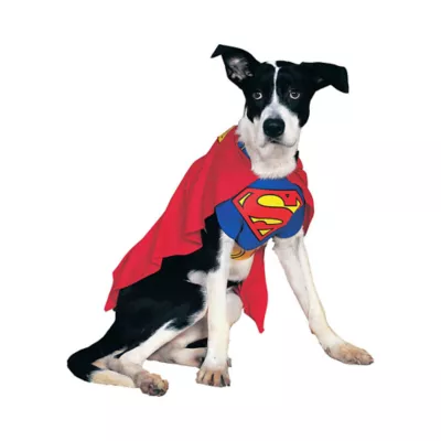 Product Rubie's Pet Shop Halloween Superman Dog & Cat Costume