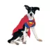 Rubie's Pet Shop Halloween Superman Dog & Cat Costume image thumbnail 1