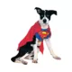 Product Rubie's Pet Shop Halloween Superman Dog & Cat Costume
