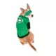 Product Rubie's Pet Shop Halloween Green Lantern Dog & Cat Costume