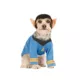 Product Rubie's Pet Shop Halloween Star Trek Spock Dog & Cat Costume